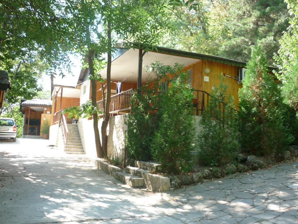 Nimpha *