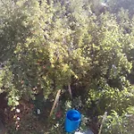 Вилна Зона Златни Пясъци, Спирка Ален Мак