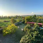 Guest House 