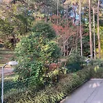 Botanica Prime