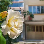 Private Apartment In Chayka Near The Sea Garden