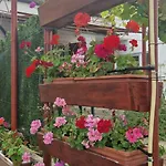 Вила Жасмин Овчаровски Плаж