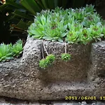 Guest House Villa Katty