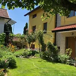 Apartment Adi