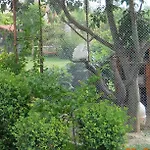 Family Hotel Vega