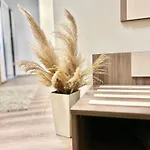 Bnp Studio 1