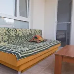 Tedi