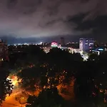 The View