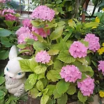 Amirov Garden - Free Parking & Free Beach Area