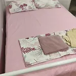 Стая Столетов