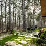 Forest House VI