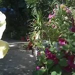 Walmar Guest House
