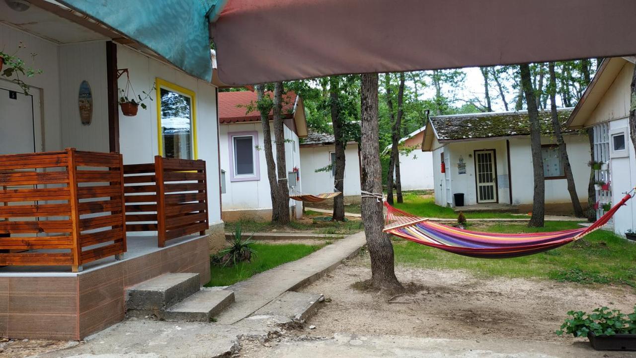 Камчийски Гларус Campsite Kamchia (Varna)