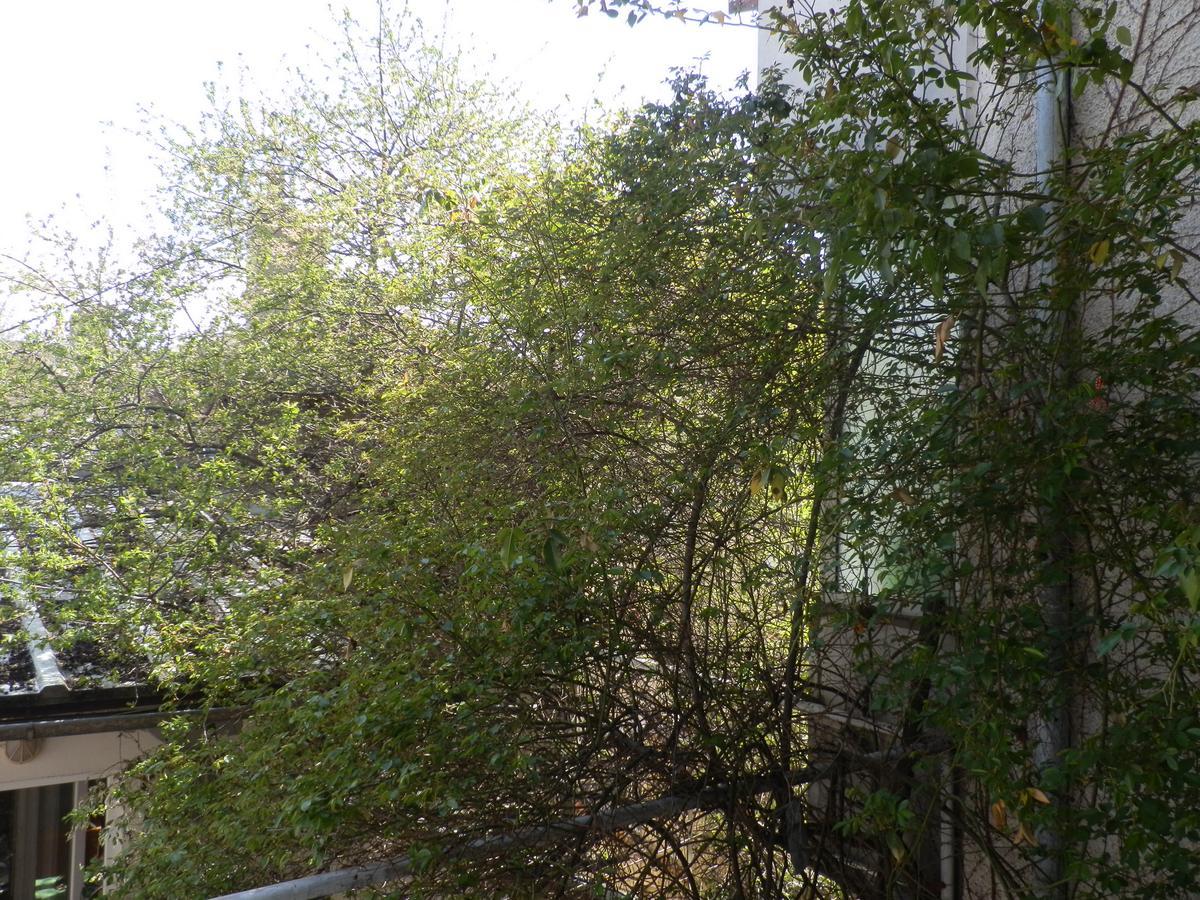 Silver House * Varna