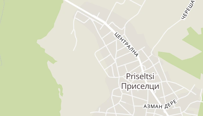 Térkép